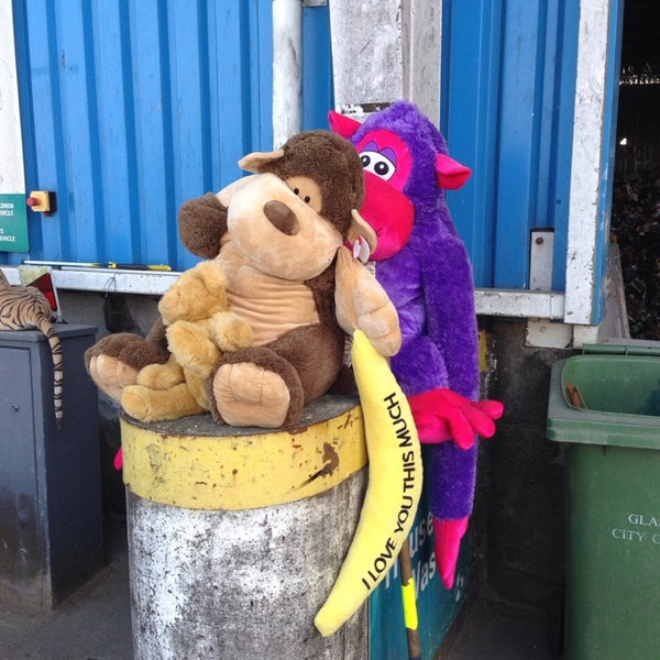 Shieldhall Recycling Centre Shieldhall 2 tips from 41 visitors