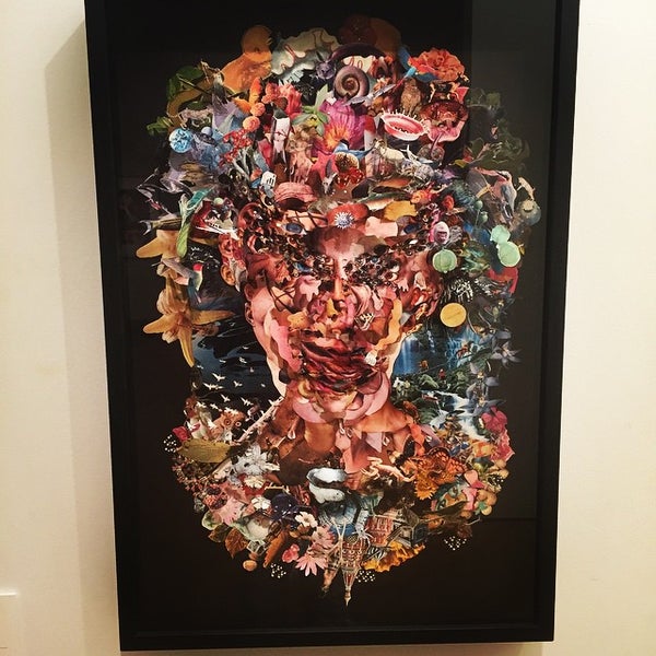 Ipswich Art Gallery Art Gallery in Ipswich