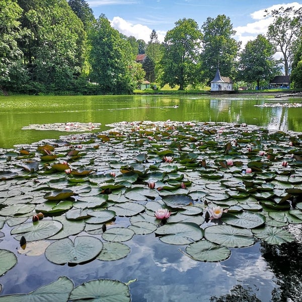 Photos At Drei Weieren Lake In St Gallen