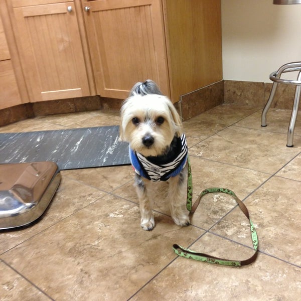 Photos At Noah S Ark Veterinary Boarding Resort Pet Service In