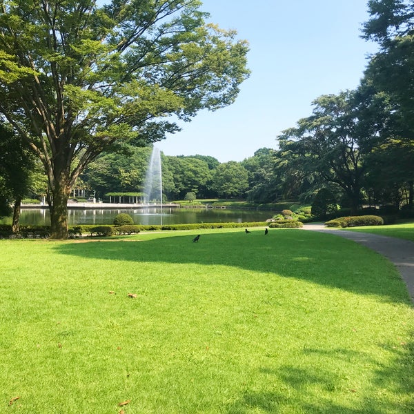 栃木県中央公園 芝生広場 宇都宮市 Da Kir