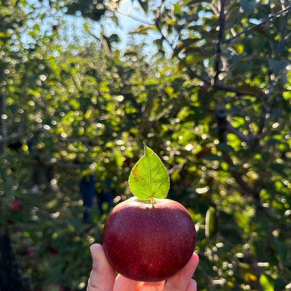 Photo taken at Fishkill Farms by Arlene W. on 10/20/2024