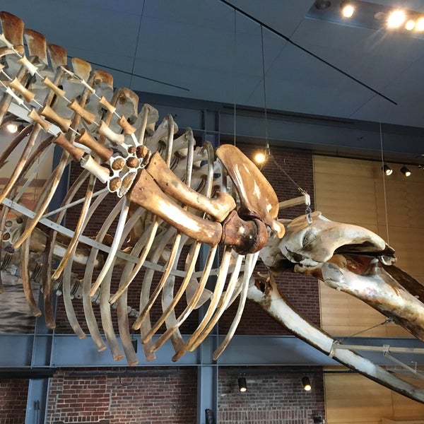 Foto tomada en New Bedford Whaling Museum  por phlegmone e. el 9/2/2017