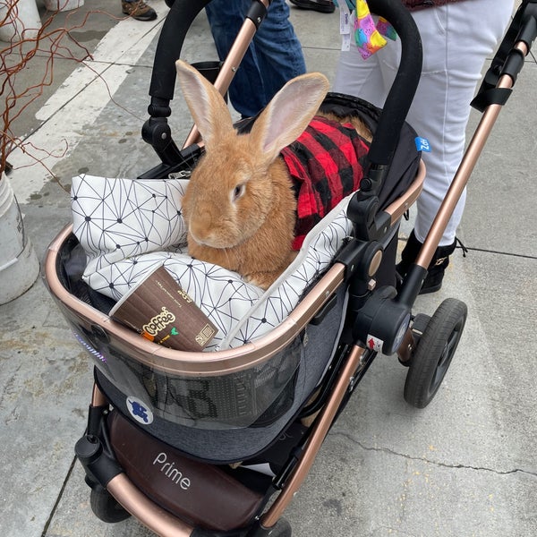 Foto tomada en Ferry Plaza Farmers Market  por Rachelle C. el 3/11/2023