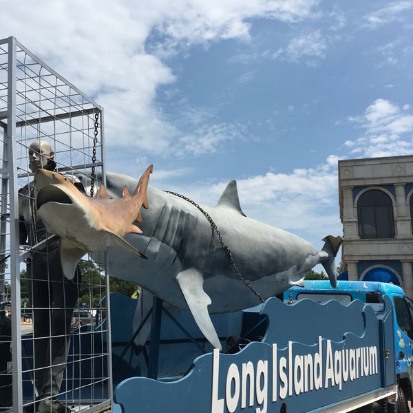 8/4/2017 tarihinde LonelyBob a.ziyaretçi tarafından Long Island Aquarium &amp; Exhibition Center (Atlantis Marine World)'de çekilen fotoğraf