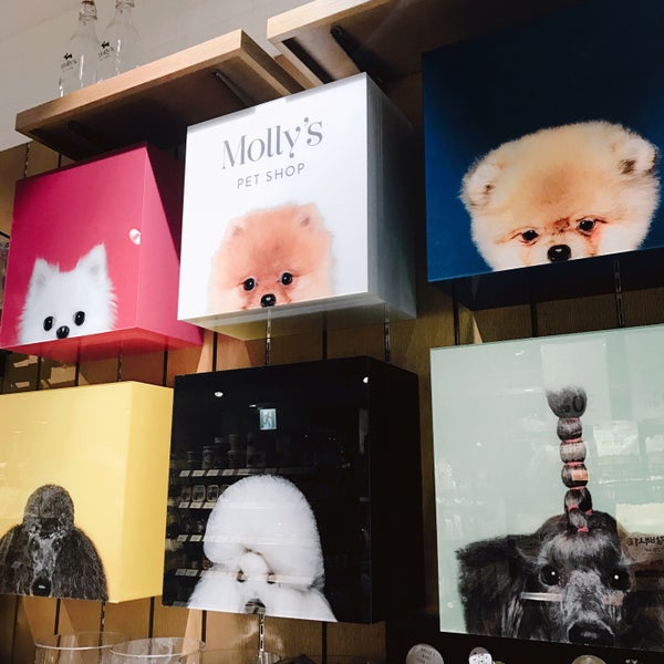 Molly's Pet Shop 반포4동 서울특별시, 서울특별시