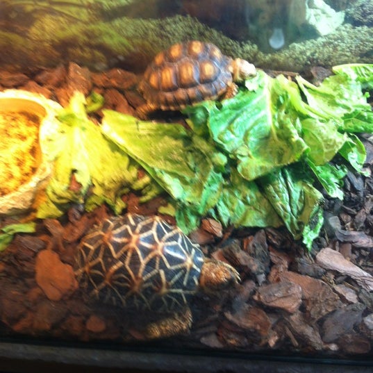 Photos At Westman Reptile Gardens