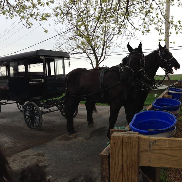 aaron and jessica's buggy rides