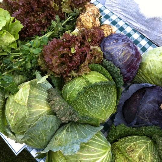 10/20/2012 tarihinde Maggie C.ziyaretçi tarafından Chappaqua Farmers Market'de çekilen fotoğraf