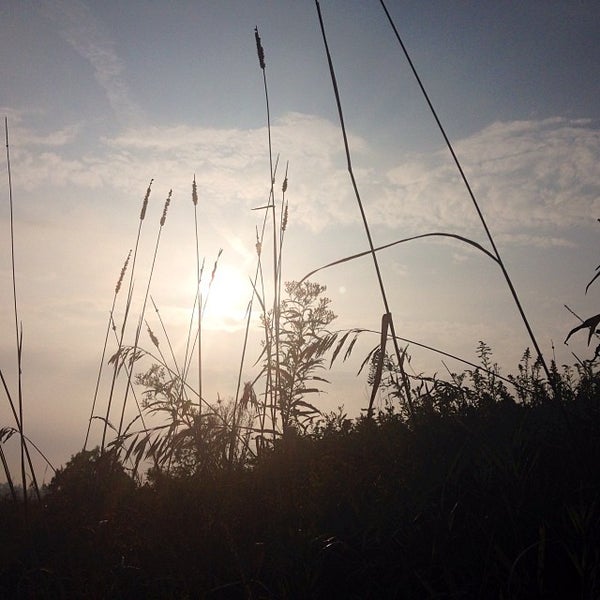 Tarragon Bed and Breakfast in Millersburg