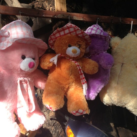 teddy bear in pondy bazaar