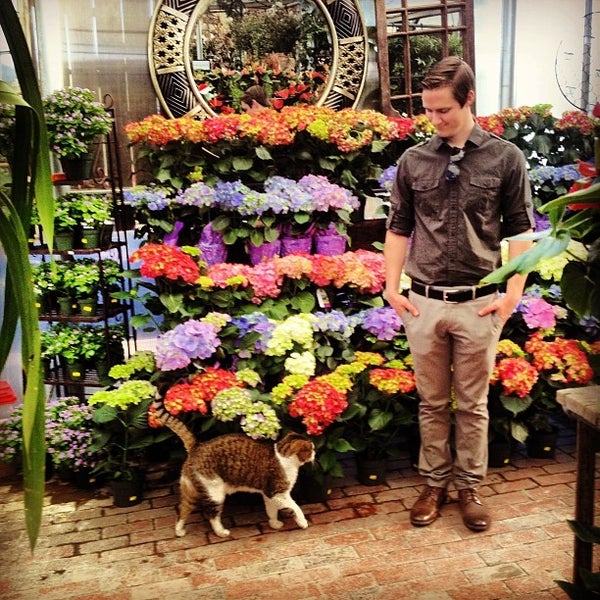 Plant Depot San Juan Capistrano, CA