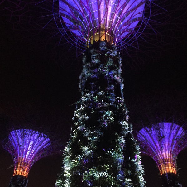 Photo taken at Gardens by the Bay by Lhyn H. on 5/28/2015