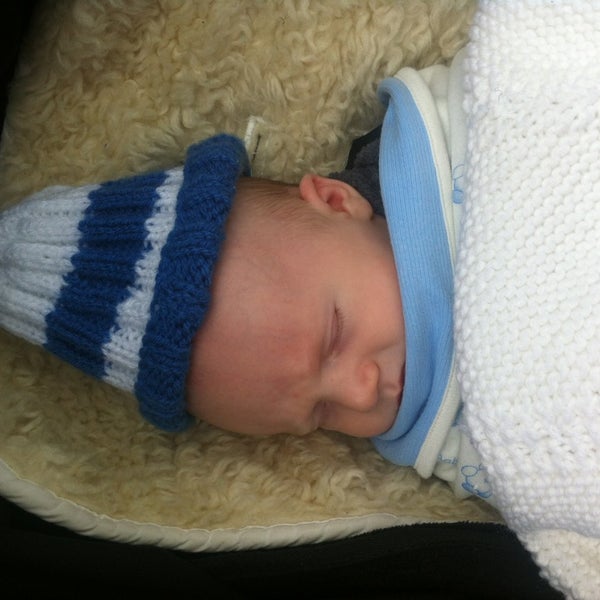 Swan Picnic Area Picnic Area in Albert Park