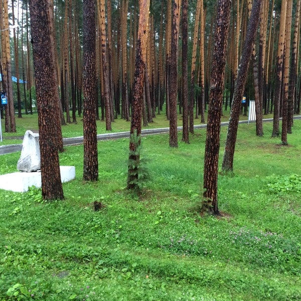 База отдыха прометей верхняя сысерть