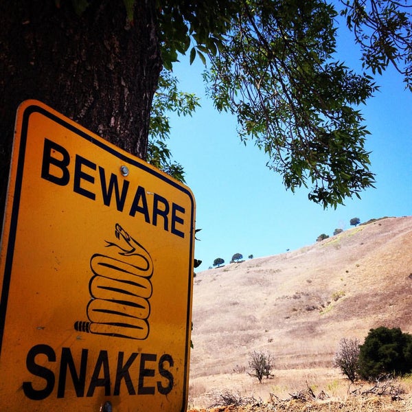Rancho Capistrano Soccer Field Soccer Field