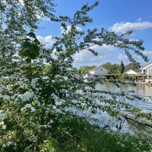 Runnymede Pleasure Ground Egham, Surrey