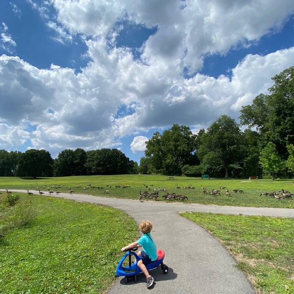 Bassett Park Park in Amherst