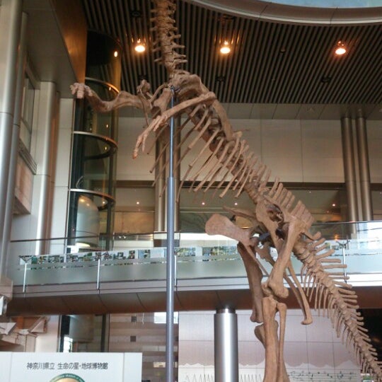 Photos At 神奈川県立生命の星 地球博物館 Science Museum