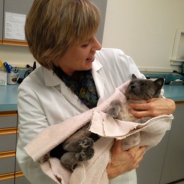 รูปภาพถ่ายที่ Cat Care Professionals โดย Cat Care Professionals เมื่อ 12/30/2014