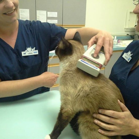 รูปภาพถ่ายที่ Cat Care Professionals โดย Cat Care Professionals เมื่อ 12/31/2014