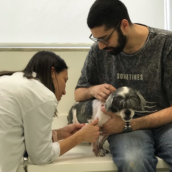Hospital Veterinário Animal Care - Ipiranga - Rua Bom Pastor, 2569