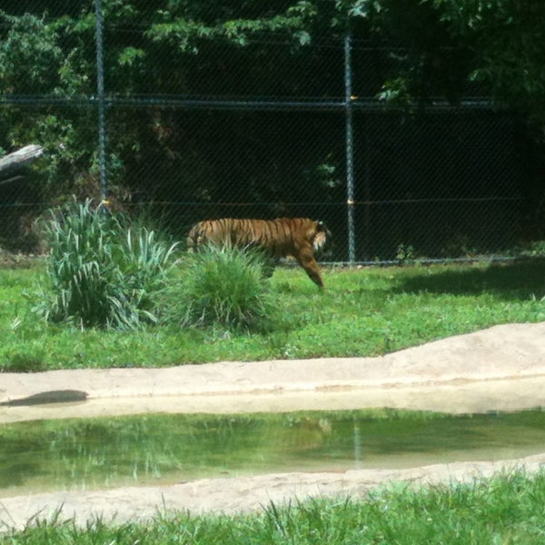 Photos at Dickerson Park Zoo Springfield, MO