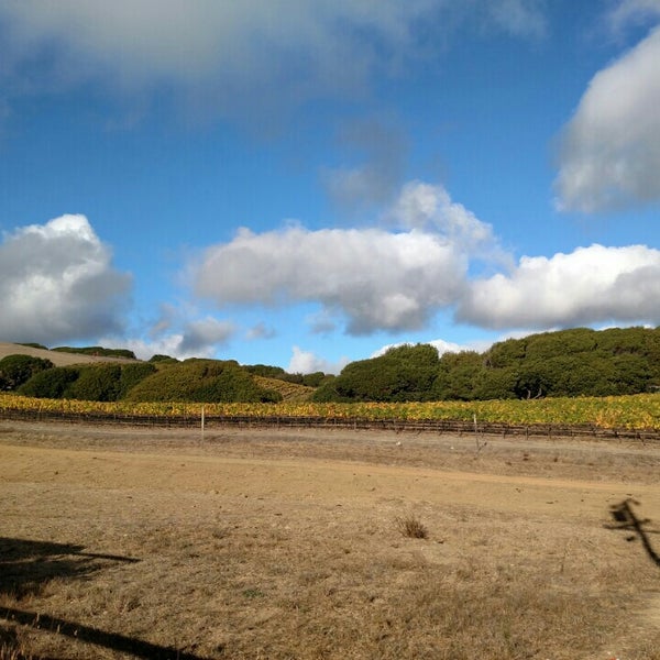 Point Reyes Vineyard Inn and Winery 1 tip from 112 visitors