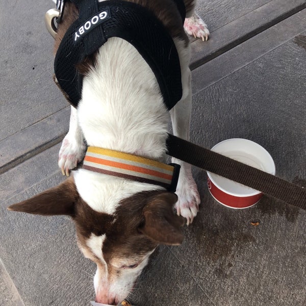 Chipotle Mexican Grill Yuma Palms Regional Center 1525 S Yuma Palms