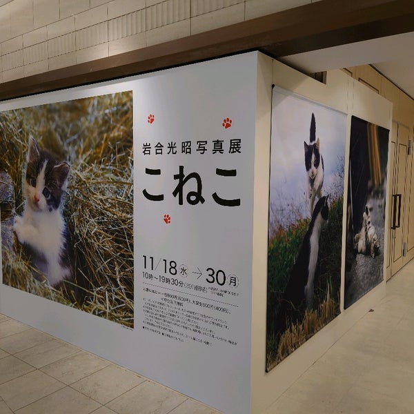 Photos At 大丸ミュージアム神戸 中央区 0 Tips Photos At 大丸ミュージアム神戸 中央区 0 Tips