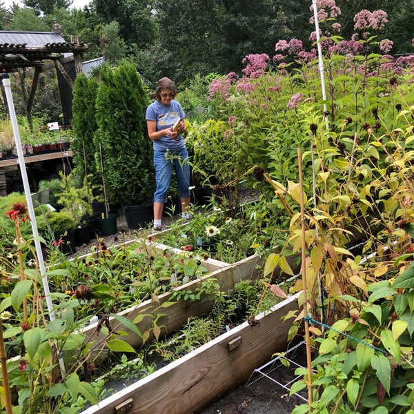 Catskill Native Nursery Kerhonkson, NY