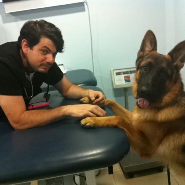 veterinario javier ortiz costa rica
