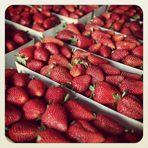 The Fruit Stand Farmers Market in San Diego