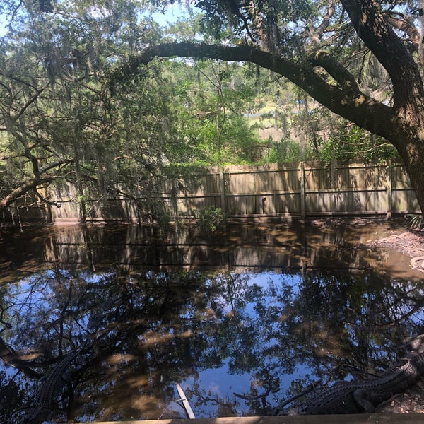 Edisto Island Serpentarium 4 tips from 170 visitors