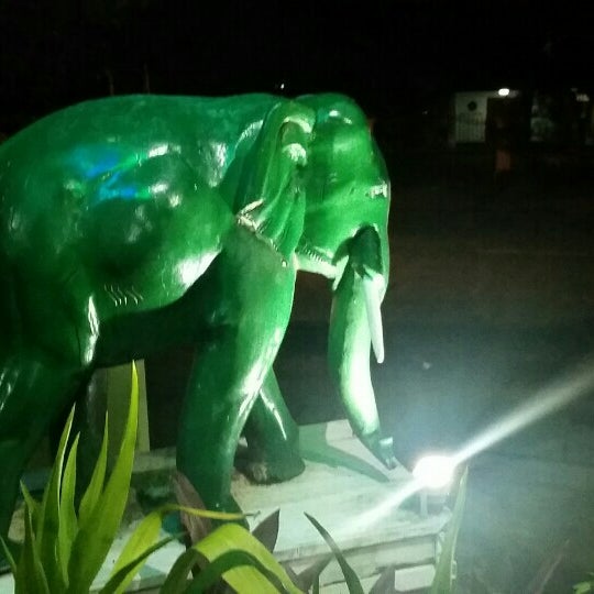 Зелёный слон. Зеленый слон Воронеж. Зелёный слон настоящий. Зеленый слон Заводоуковск. Green elephant park