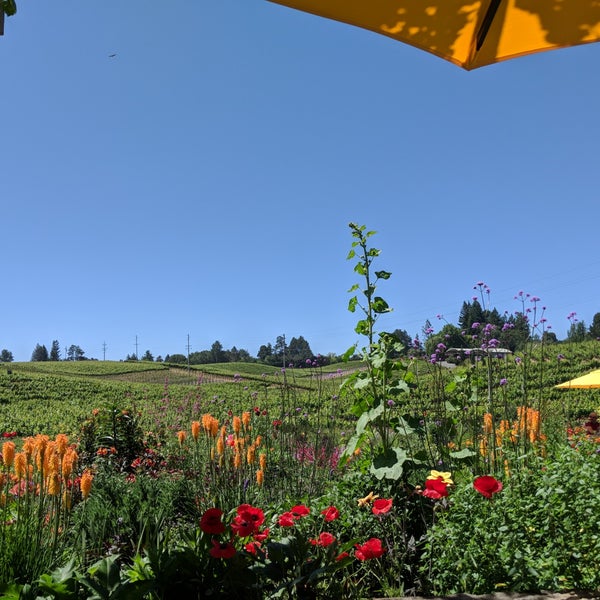 5/28/2018 tarihinde Chloe C.ziyaretçi tarafından Lynmar Estate Winery'de çekilen fotoğraf