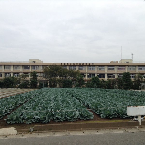 Photos At 千葉県立松戸南高等学校 松戸市 千葉県
