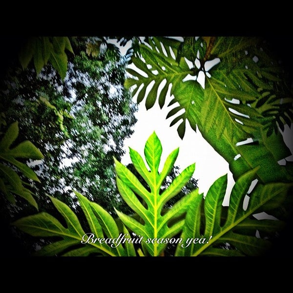 9/9/2012にJai R.がHonua Lani Gardens Kauaiで撮った写真