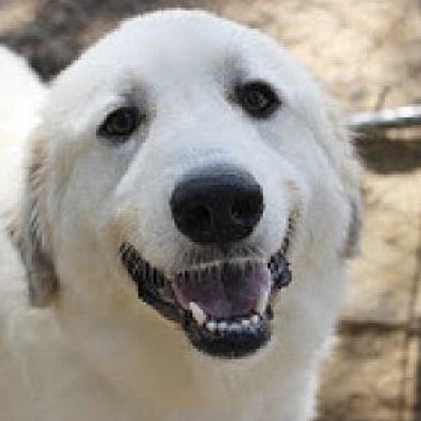 Corner Shopping Mall in West Hartford