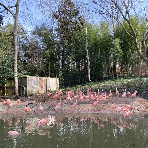 Foto tomada en Zoo Atlanta  por Ellie el 1/15/2024