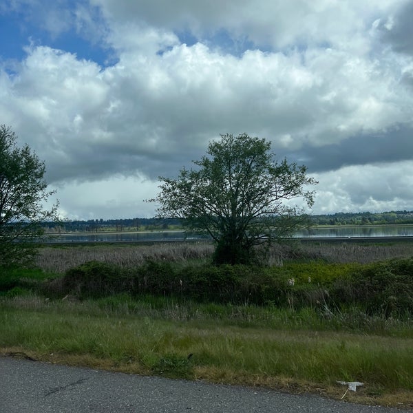 Poop Lake Beach in Everett
