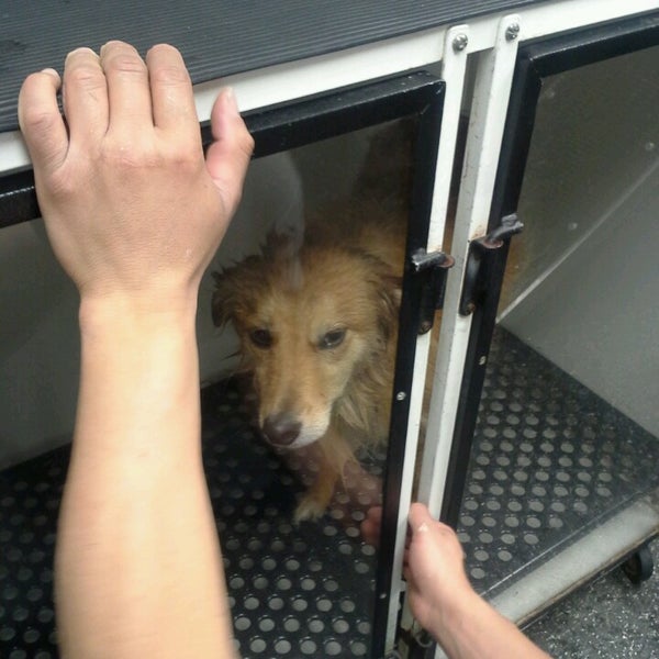 IncrediPet Pet Store