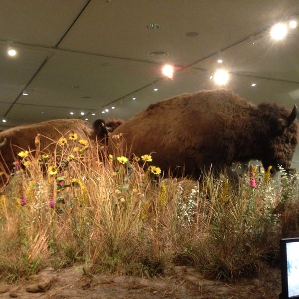 Photo taken at Buffalo Bill Center of the West by Michel v. on 7/16/2014