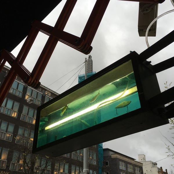 Гадкий койот бар тверская. Шварц кайзер молочный стаут. Деп бар. Еврейский бар на пятницкой. Бар гершон лоанц.