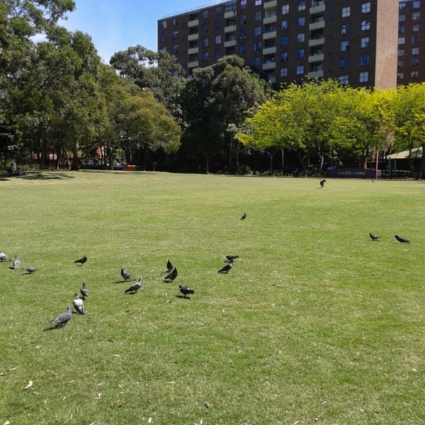 Ward Park Park In Sydney