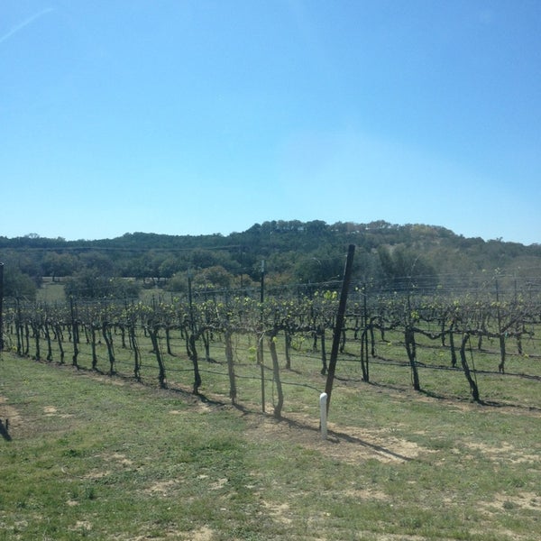 Photo taken at Flat Creek Estate Winery &amp; Vineyard by A Ross on 3/14/2013