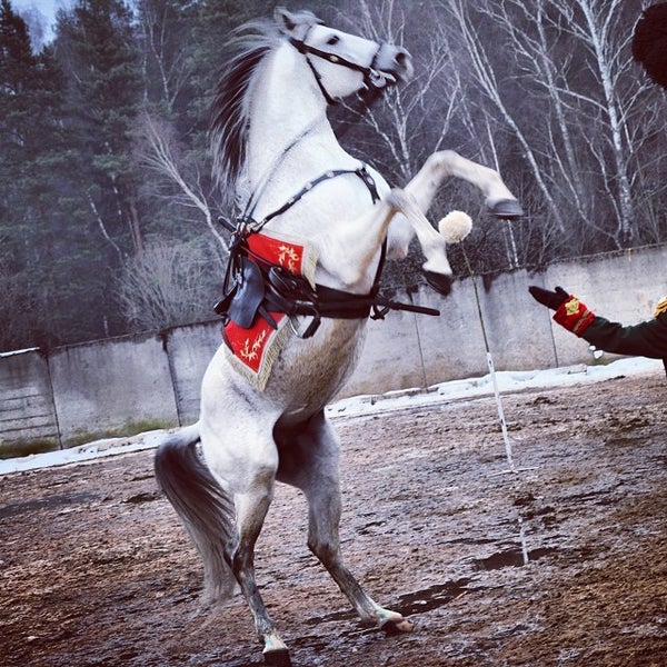 Конный клуб Есаулов