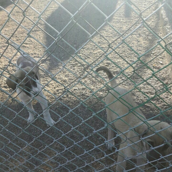 Malatya Büyükşehir Belediyesi Hayvan Barınağı