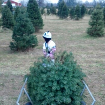 Photos At St Joe Christmas Tree Farm 9801 Saint Joe Rd