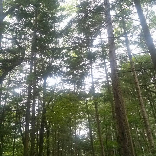 Photo taken at 방아다리약수터 전나무숲길 by Kwan-Seob Y. on 8/17/2013